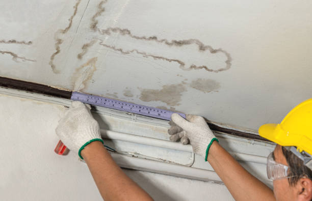 Reliable Emergency Water Damage Restoration contractor in Ravenel, SC by Water Damage Irwin